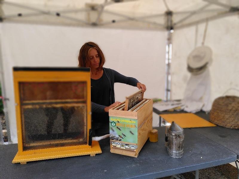Michele nijnikoff a la recherche de la reine des abeilles
