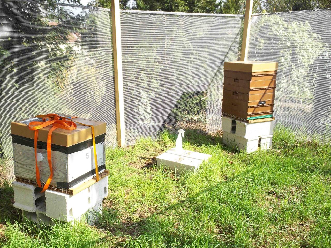Installation de 2 ruches Au bois fleuri Avon Avril2012